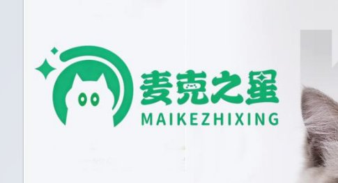 MAIKEZHIXING logo